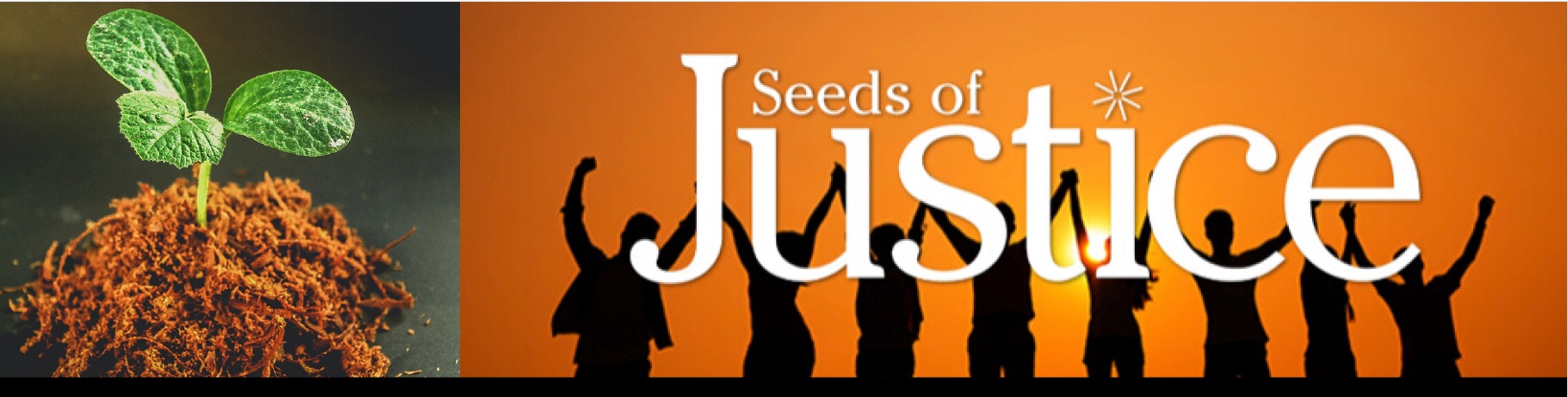 Seeds of Justice